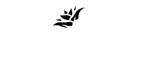 Seed the Vote logo